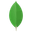 MongoDB